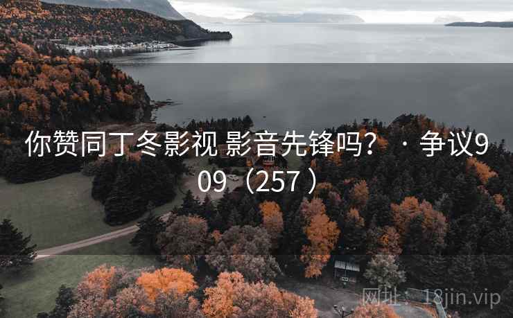 你赞同丁冬影视 影音先锋吗？ · 争议909（257 ）